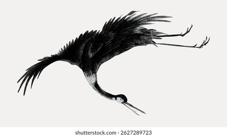 Illustration of a black crane in flight. The crane's wings are spread wide, showcasing its elegant form. The black crane is depicted in a dynamic flying pose. Animal illustration vector.