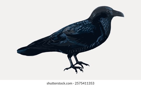 Illustration of a black crow with detailed feathers. The crow stands on a light background. The crow's feathers are intricately drawn, highlighting its black plumage. Vintage art vector element.