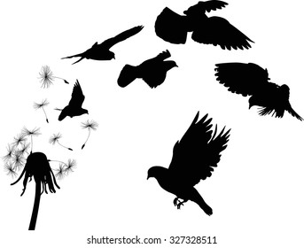illustration with black dandelion and doves on white background