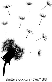 illustration with black dandelion on white background