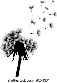 illustration with black dandelion on white background