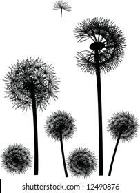 illustration with black dandelions on white background