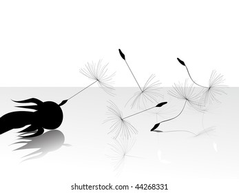 illustration with black dandelions on white background