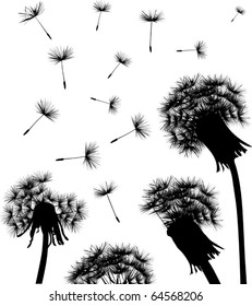 illustration with black dandelions on white background