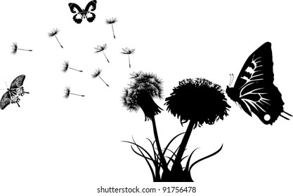 illustration with black dandelions on white background