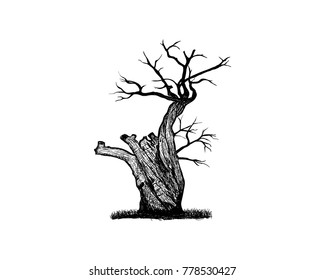 Illustration Black Dried Dead Trees Scary without Leaf Hand Drawing Logo Vector