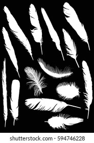 Illustration mit schwarzen Federn auf schwarzem Hintergrund