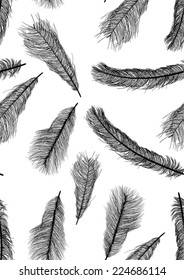 ilustración con plumas negras de fondo transparente