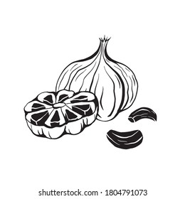 Illustration of black fermented garlic. Product for health and longevity. Useful seasoning for Asian dishes. Natural sweetener. Vector element for menu, recipes and your design.