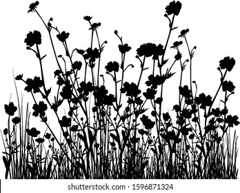 illustration with black flowers and grass isolated on white background