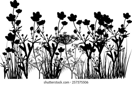 illustration with black flowers and grass isolated on white background