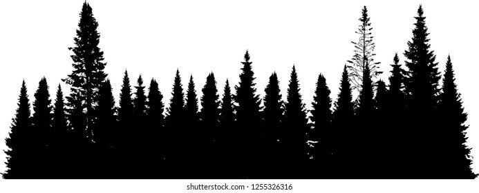 illustration with black forest isolated on white background