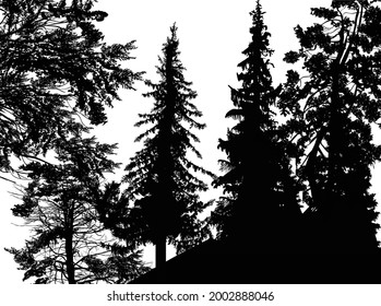 ilustración con el bosque negro aislado en fondo blanco