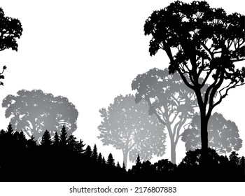 ilustración con el bosque negro aislado en fondo blanco