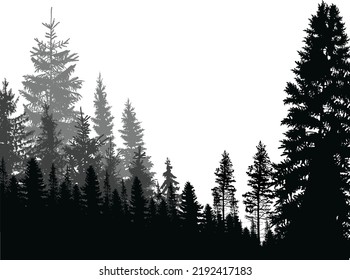 illustration with black forest isolated on white background