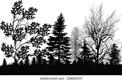 illustration with black forest isolated on white background
