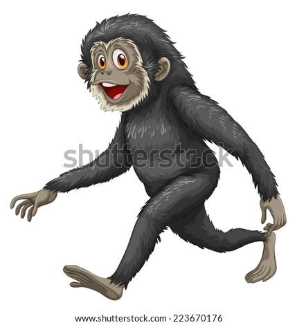 Similar – Image, Stock Photo monkey Walking Exotic Asia