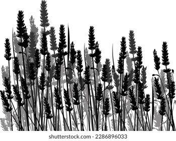 illustration with black and grey grass isolated on white background