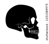 Illustration of Black Human Skull Side View Simple Silhouette on White