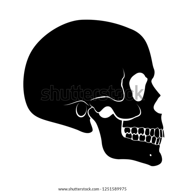 Illustration Black Human Skull Side View Stock Vector (Royalty Free ...