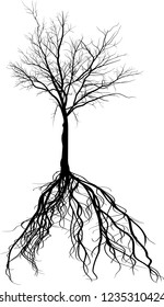 illustration with black large tree silhouette isolated on white background