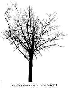 ilustración con silueta de árbol grande negra aislada en fondo blanco