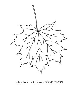 An Illustration of a black maple leaf isolated on a white background