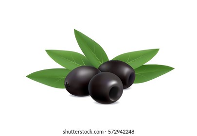illustration of black olives on white background