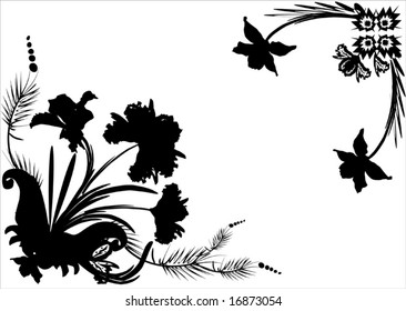 illustration with black orchid frame on white background