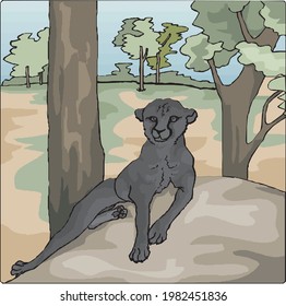 illustration of black panther sitting on rock