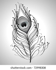 illustration of black peacock feather