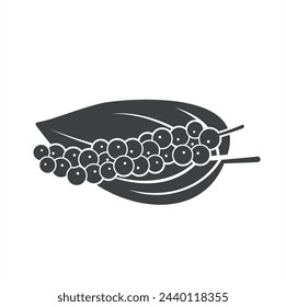 illustration of black pepper, agricultural products.