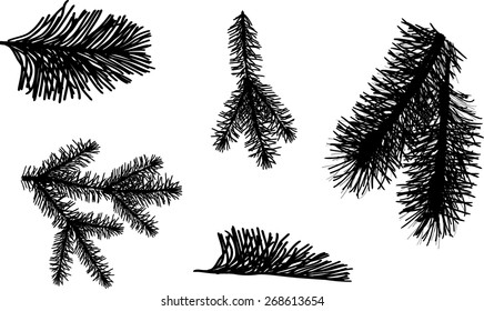 Illustration mit schwarzen Kiefernästen einzeln auf weißem Hintergrund