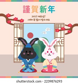 An illustration of a black rabbit, the symbol of 2023, wearing hanbok and saying New Year's greetings. Korean traditional New Year's greetings (txt translation: Happy New Year)