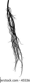 illustration with black root silhouette isolated on white background