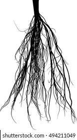 illustration with black root silhouette isolated on white background