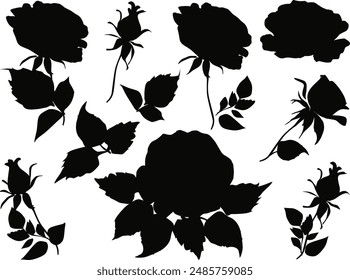 illustration with black roses isolated on white background