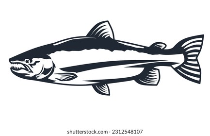illustration black salmon white