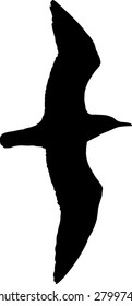 illustration of a black seagull