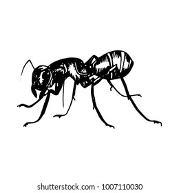 Illustration of a black silhouette ant on white background painted a gel pen.