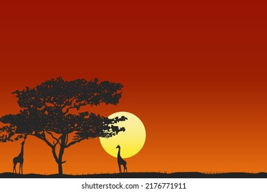 illustration of black silhouette of a giraffe and acacia tree on background sunset.