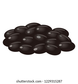 Illustration of the black soybean