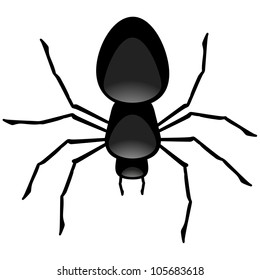 illustration of a black spider, symbol for poison and halloween