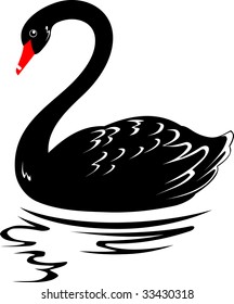 Illustration of a black swan