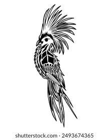 illustration of a black tribal parrot tattoo