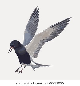 Illustration of a black and white bird in flight. The bird's wings are spread wide. The bird's beak is open. The bird's feathers are detailed and textured. Vintage bird illustration vector.