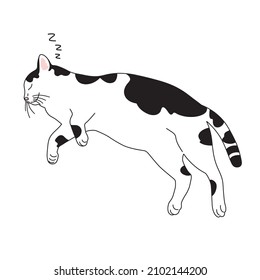 Illustration of a Black and white cat.
