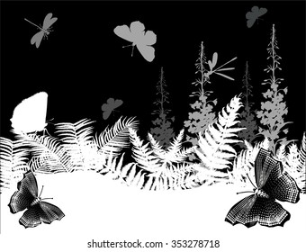 illustration with black and white fern background