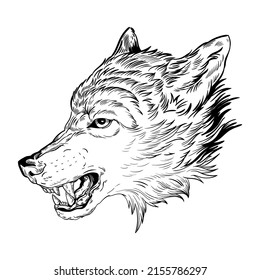 illustration black and white lines graphics animal predator wolf head grin teeth