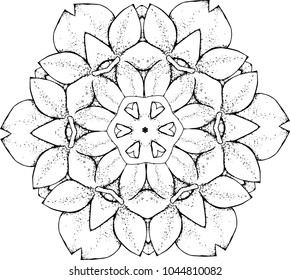 An illustration of a black and white mandala. Cosmic flower of life. The idea for a tattoo